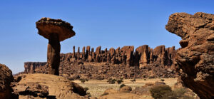 Mushroom Rock and Zipper