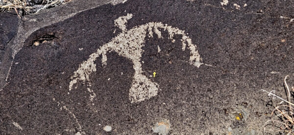 Petroglyph birb