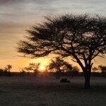 Chadian sunset