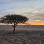 Chadian sunset