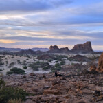 Riki near Julia base