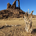 Julia, different angle