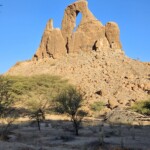 Julia, different angle