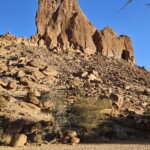 Julia, different angle