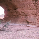 Dining area at main camp