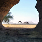 Camels through hole