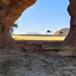 Camels through hole