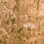 Ennedi camel pictograph