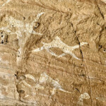 Ennedi camel pictograph