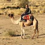 Riki on camel