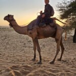 Camel ride