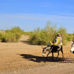 Ministers of Transportation