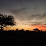 Chadian sunset