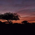 Chadian sunset