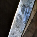 Olive baboon peaking in window