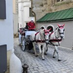 Carriage