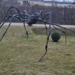 The Spider, Belvedere Museum