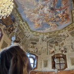 Belvedere Art Museum