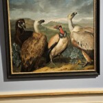 Belvedere Art Museum