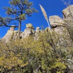 Chiracahua Rocks