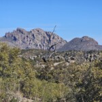 Chiracahua Rocks