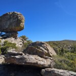 Chiracahua Rocks