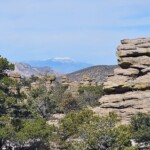Chiracahua Rocks