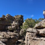 Chiracahua Rocks
