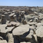 Bisti