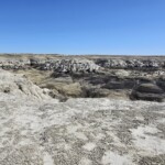 Bisti