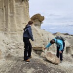 Petrified wood and the girls
