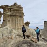 Petrified wood and the girls