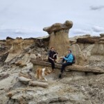 Pet wood and the girls