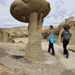 Bisti Badlands