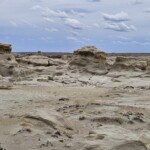 Bisti Badlands and Elfie