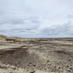 Bisti Badlands