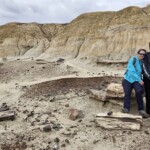 Petrified wood and the girls