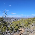 Mt Wheeler to the north