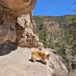 Elfie and Rango at wall