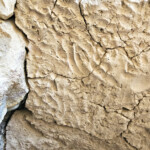 Finger swipes in mud of wall