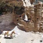 Rango and hole in wall