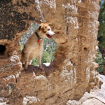 Rango an dhole in wall