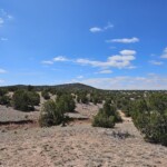 Petroglyph Hill from trail