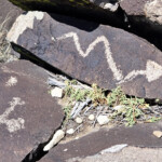 Petroglyph snake