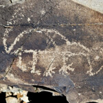 Petroglyph critter