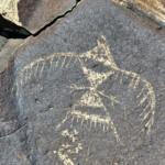 Petroglyph bird