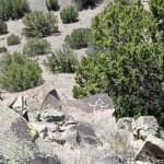 Petroglyph Hill