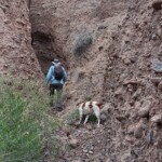 Kelly and Rango in slot