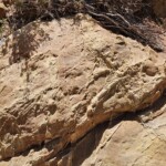 Strange veins in rock