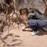 Tracing shadows in the sand